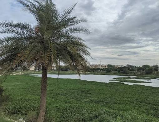 Kithaganur Village, Bengaluru: Location, Connectivity, Nearby Areas