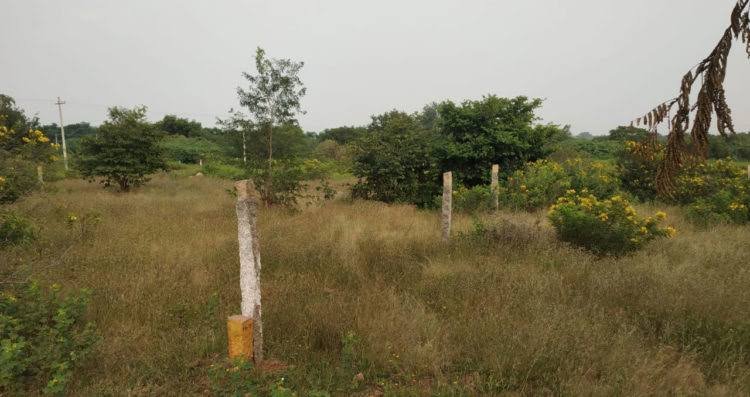 Thorrur Village, Hyderabad
